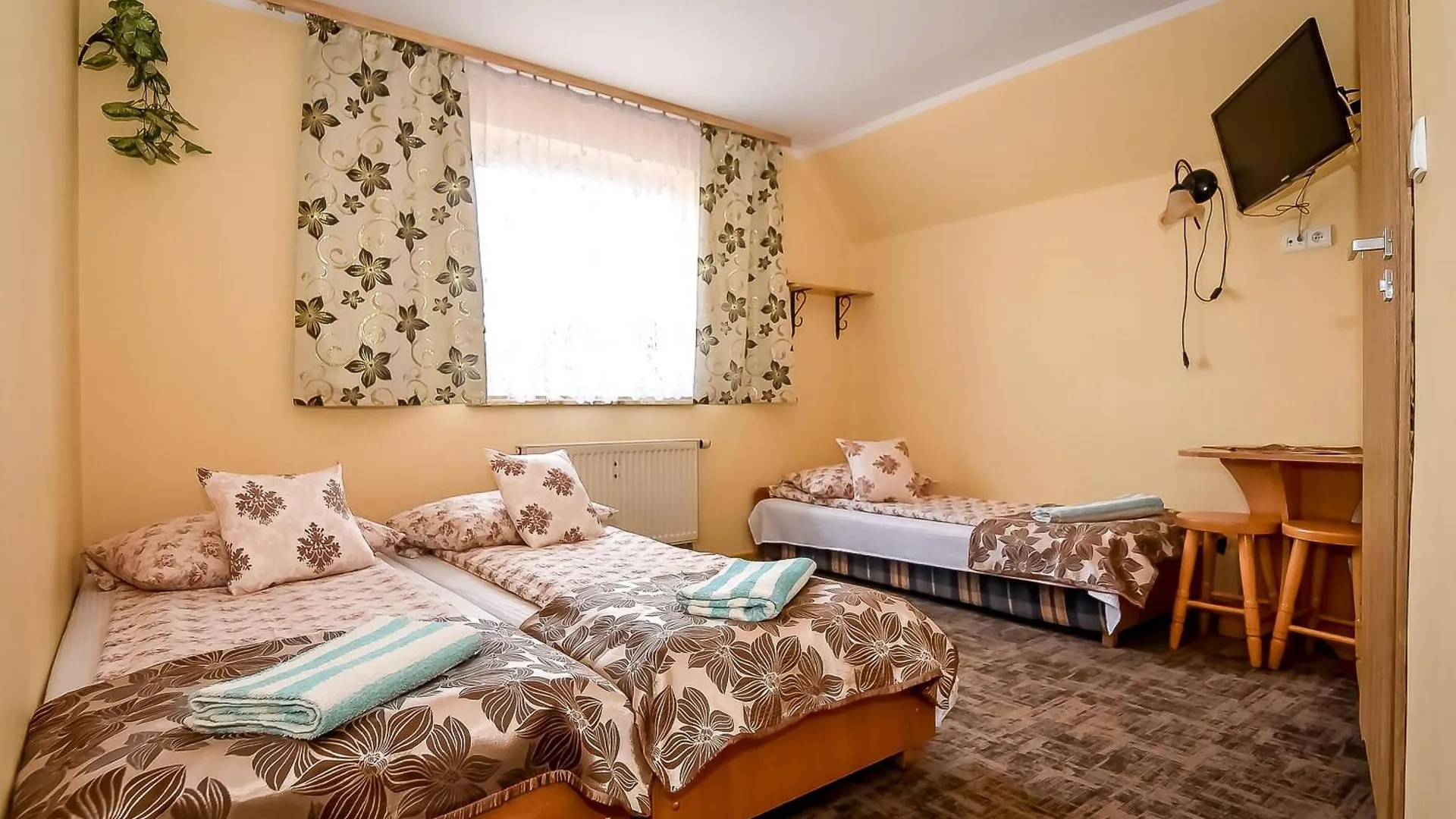 Dw Maria 1 Zakopane Bed & Breakfast Poronin Poland